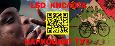 прущие грибы Новодвинск