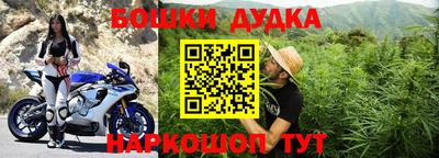 прущие грибы Новокубанск