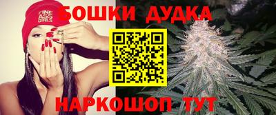 прущие грибы Новокубанск