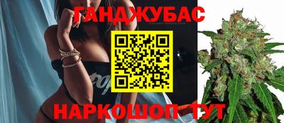 прущие грибы Новокубанск