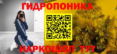прущие грибы Новокубанск