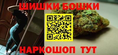 прущие грибы Новодвинск